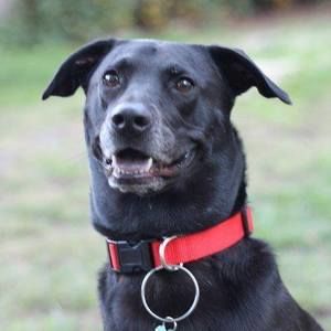 Meet your Posher, Jeff